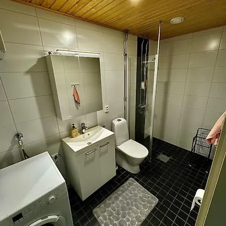 Viihtyisae Asunto Ydinkeskustassa Seinäjoki